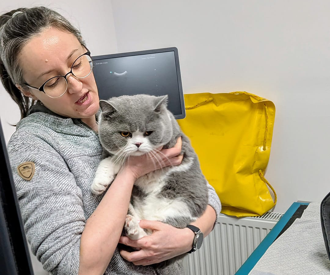 Cat Friendly Clinic